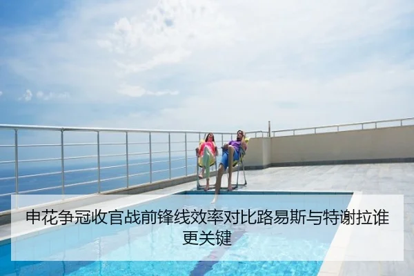申花争冠收官战前锋线效率对比路易斯与特谢拉谁更关键