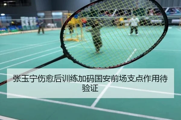 张玉宁伤愈后训练加码国安前场支点作用待验证